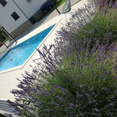 House Kalepin Appartement *