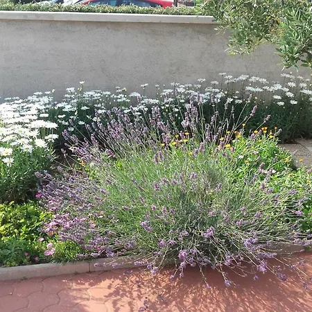 Apartament House Kalepin *