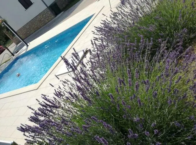 House Kalepin Apartman *