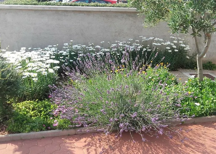 Apartament House Kalepin *